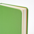 GlowHavenToys.com Learning Friends 100 Words Book, Green